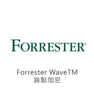 Forrester WaveTM：端點加密