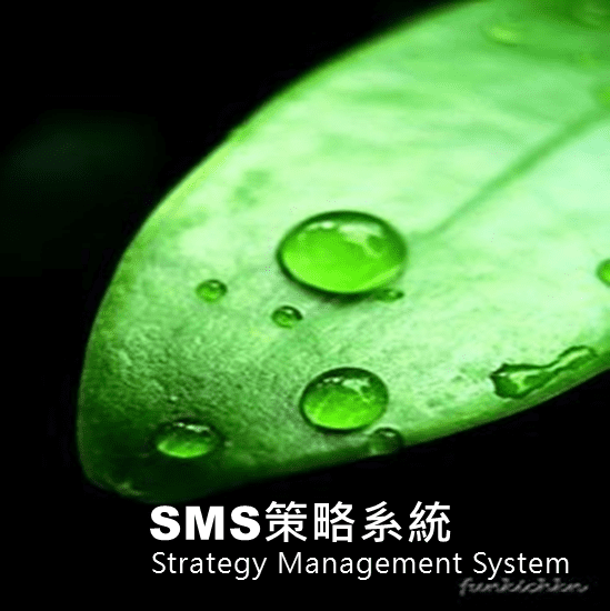 策略性系統