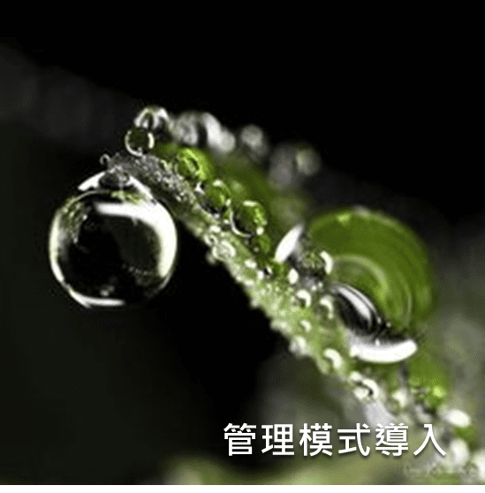 管理模式導入