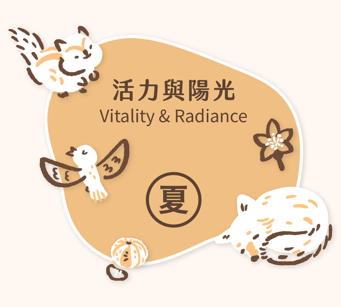 大吉先生,彌月蛋糕,彌月試吃,豆漿蛋糕,戚風蛋糕,彌月送禮