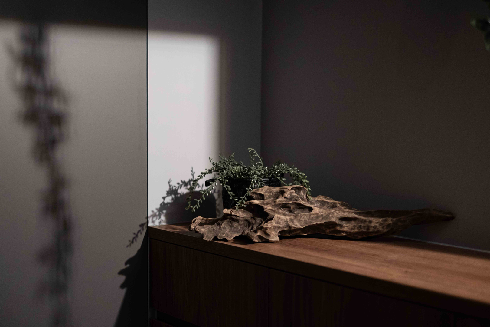 中和石墨光域_玄關小景