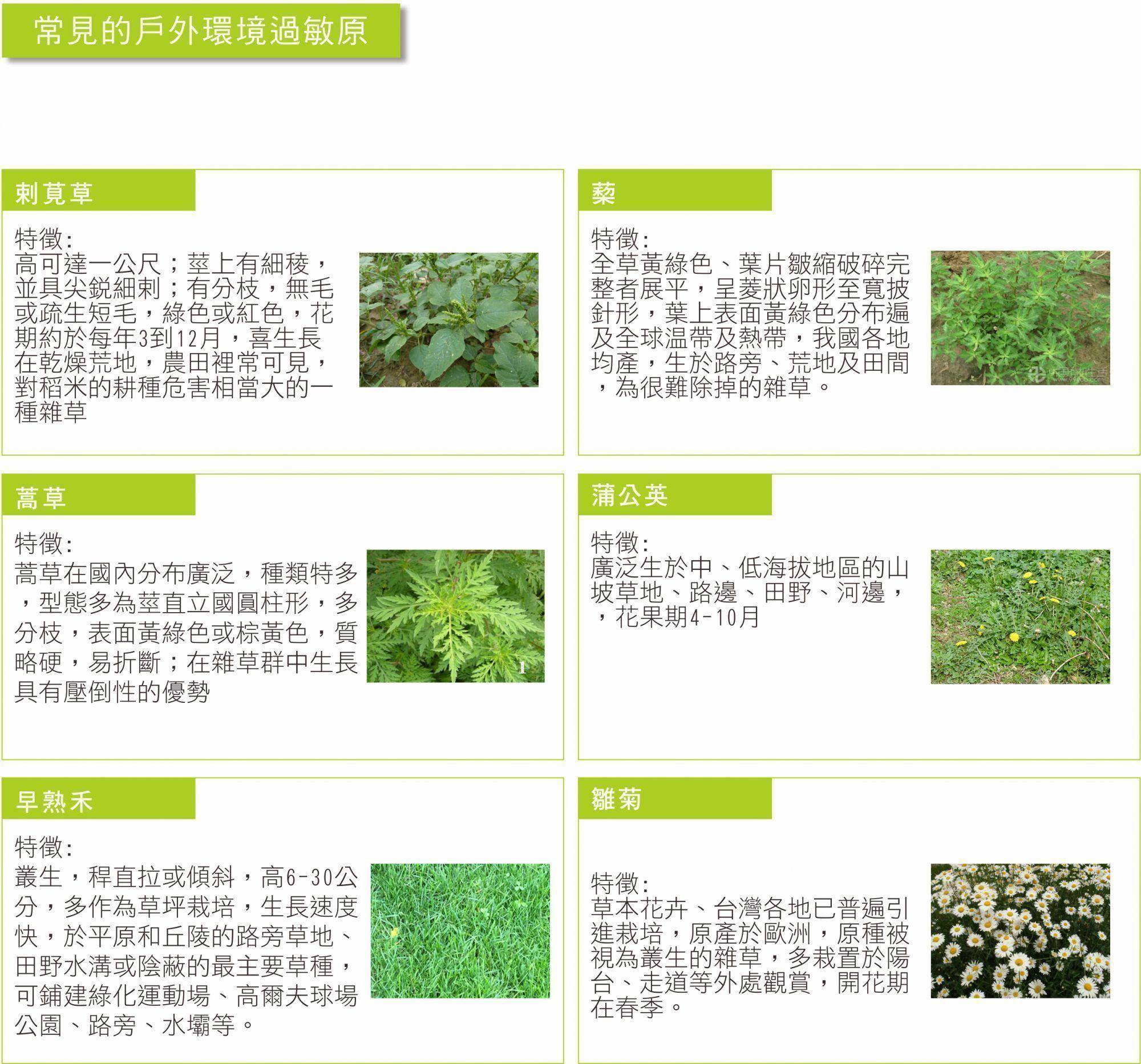 什麼是過敏原 牧騰生物科技股份有限公司