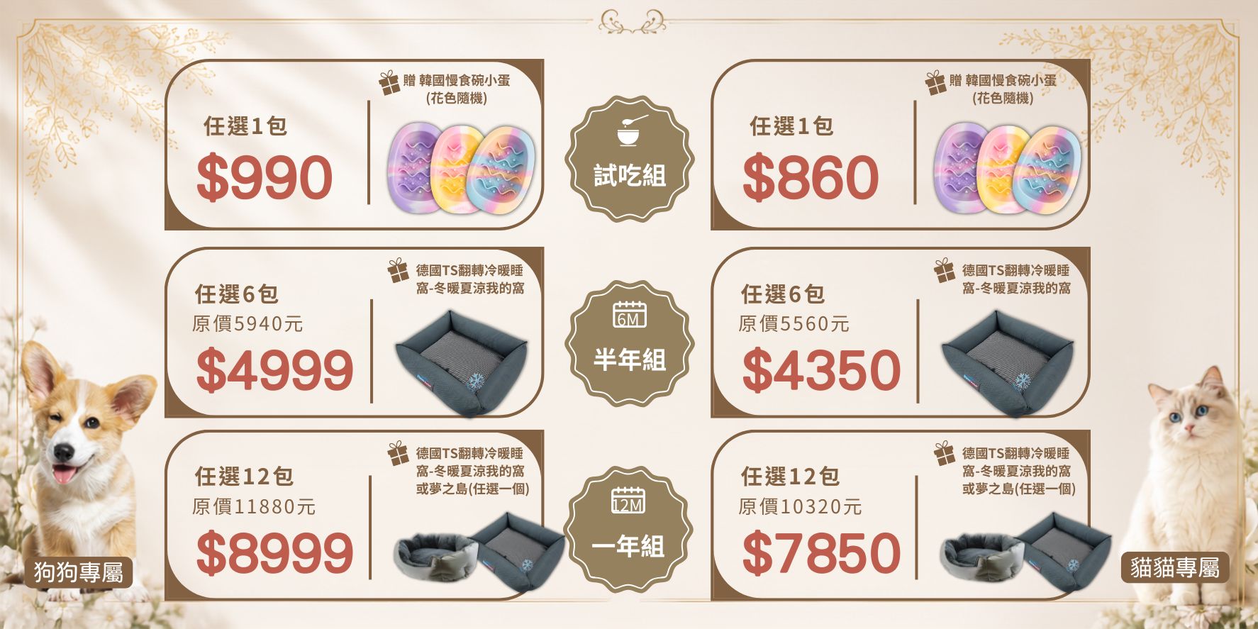 第二張圖片