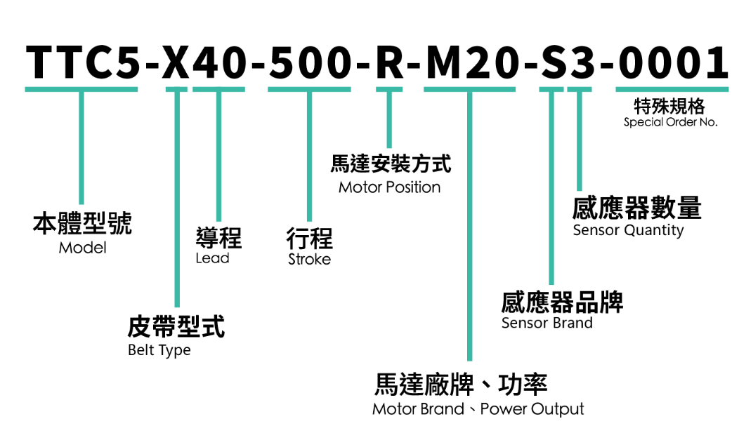 TTC 標準皮帶滑台